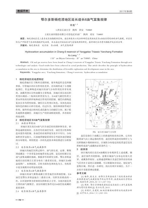 鄂尔多斯杨疙涝地区延长组长6油气富集规律