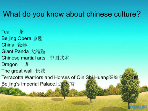关于中国文化的英语课的PPT..