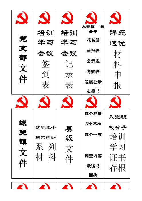 支部档案袋封签