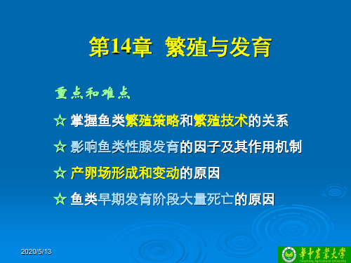《鱼类繁殖与发育》PPT课件