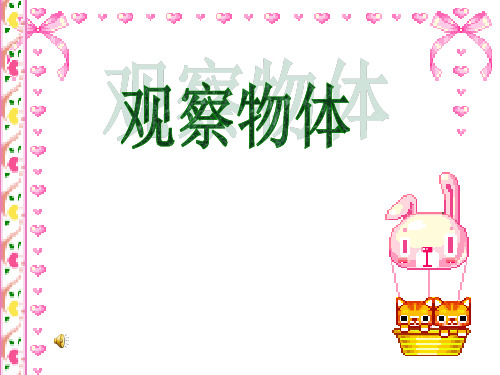 新版苏教版数学二年级上册《观察物体》公开课课件.ppt