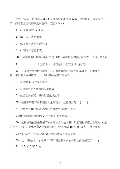 生物学七年级上北师大版3.5.1光合作用同步练习5