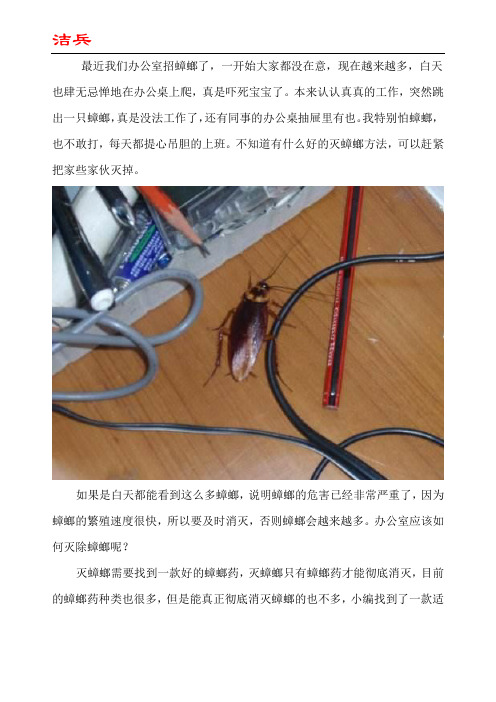 办公桌上一堆蟑螂怎么办