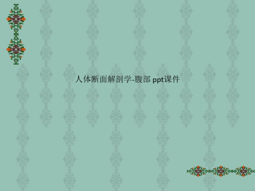 人体断面解剖学-腹部 ppt课件_