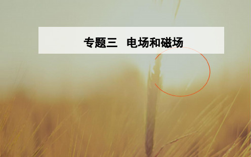 2018年高考物理二轮复习课件：专题三第10讲带电粒子在电场、磁场中运动实例应用 精品
