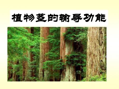 苏教版七年级上册第三单元第五章第四节：植物茎的输导功能