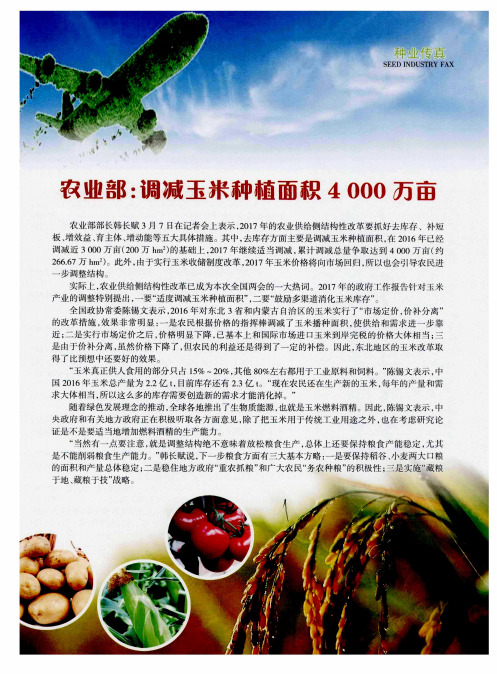 农业部：调减玉米种植面积4000万亩