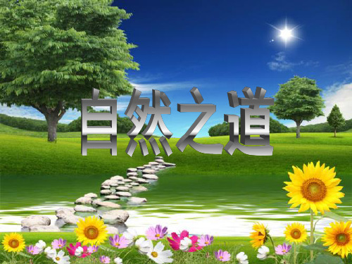 六年级语文《自然之道》课件PPT