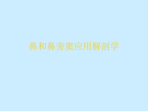 鼻和鼻旁窦应用解剖学