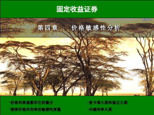 价格敏感性分析