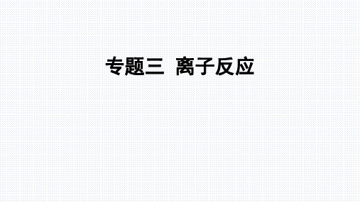 专题三  离子反应(2022高考帮化学)新高考版