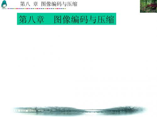 第8章 图像编码与压缩