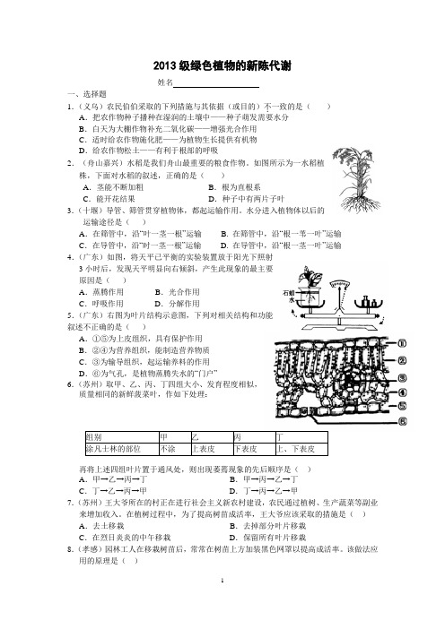 绿色植物的新陈代谢(培优) (1)