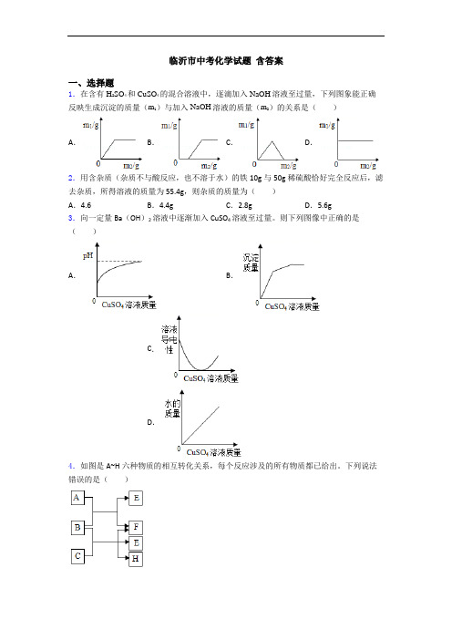 临沂市中考化学试题 含答案