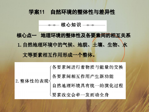 最新-2018届高考地理二轮复习 自然环境的整体性与差异性课件 精品 