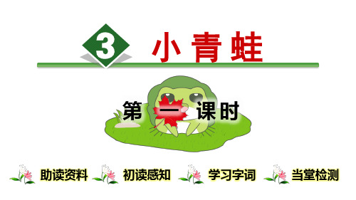 部编版语文课件《小青蛙》PPT全文课件1