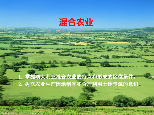 人教版必修第二册混合农业和地中海农业优秀教材PPT