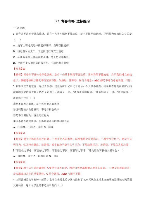 3.2 青春有格(达标练习)(解析版)