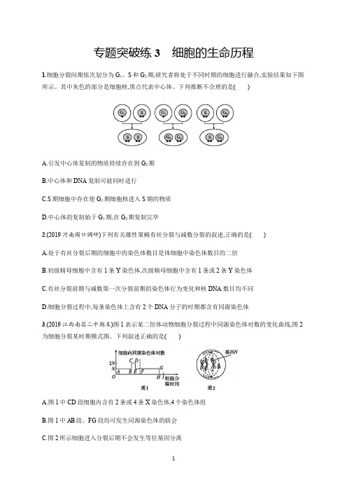 2020版高考生物大二轮专题突破通用版专题突破练3细胞的生命历程