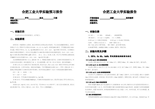合肥工业大学综合实验报告