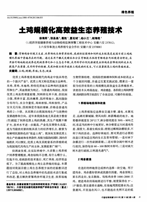 土鸡规模化高效益生态养殖技术