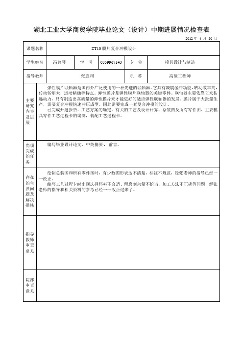 中期进展情况检查表模板