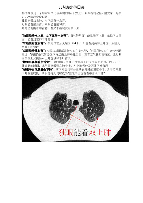 CT肺的分叶分段