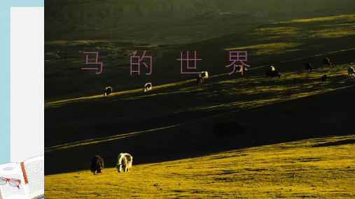 七年级语文下册(人教版)马的世界 (1)ppt课件
