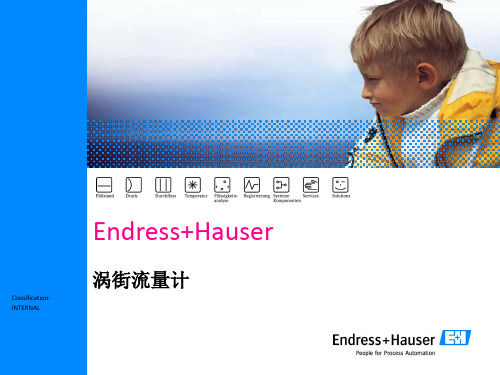E+H涡街流量计.