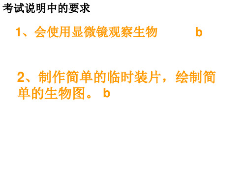 显微镜 PPT课件