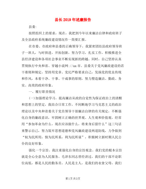 县长2019年述廉报告