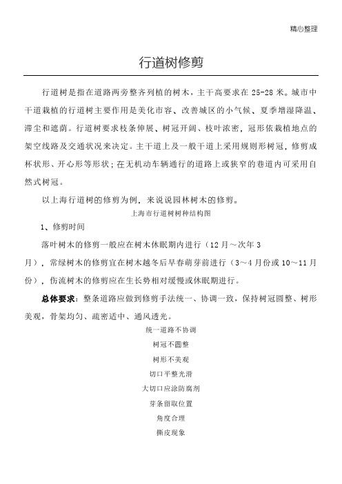 行道树修剪
