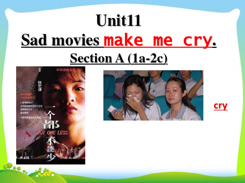 人教新目标九年级英语-Unit11 SectionA Section A (1a-2c 课件.ppt