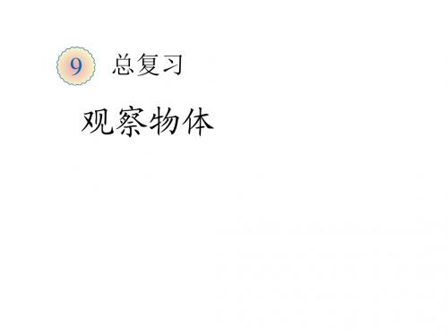 观察物体表内乘法二总复习