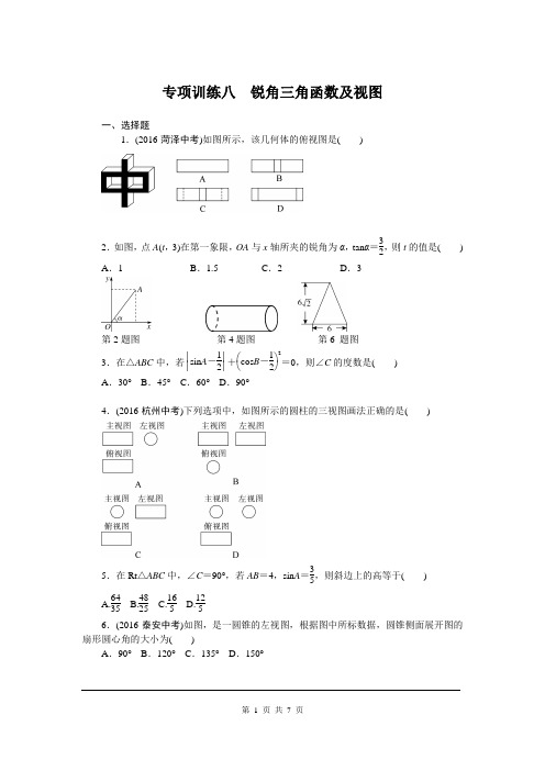 初中数学九年级下册《专项训练八 锐角三角函数及视图》练习题 附加答案