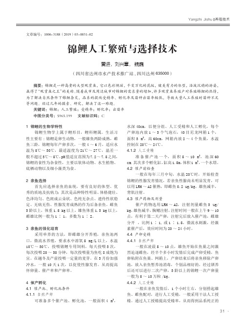 锦鲤人工繁殖与选择技术