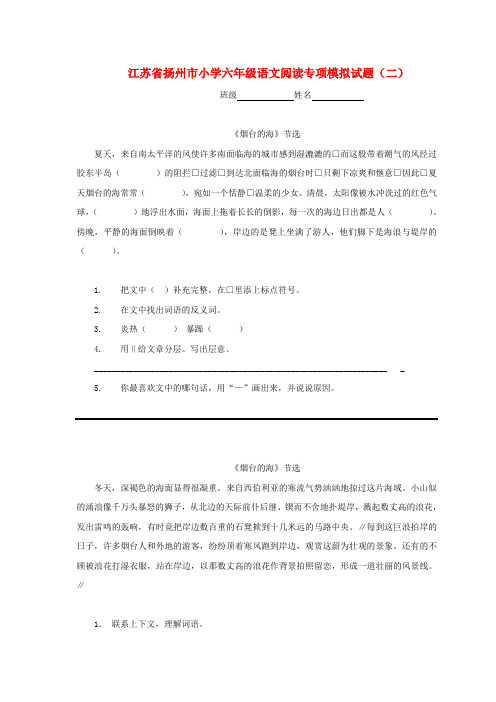 江苏省扬州市小学六年级语文 阅读专项模拟试题(二)