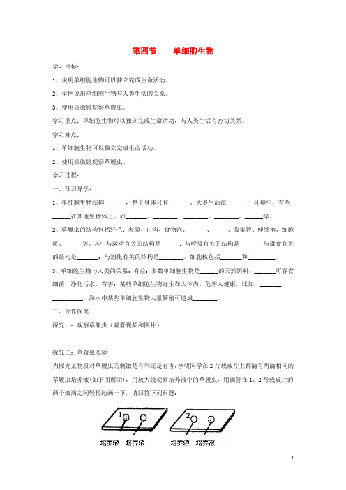 七年级生物上册 2.2.4《单细胞生物》导学案1 (新版)新人教版