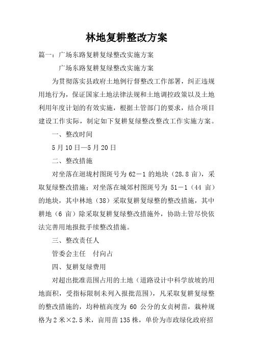 林地复耕整改方案doc