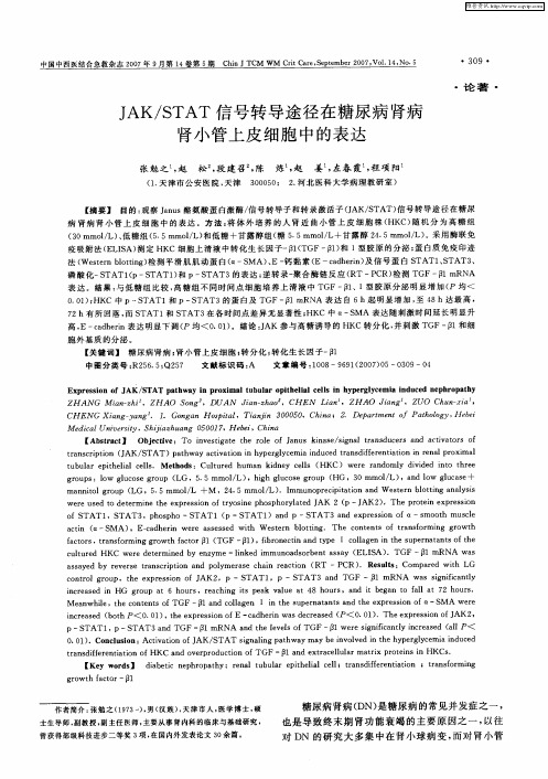 JAK／STAT信号转导途径在糖尿病肾病肾小管上皮细胞中的表达