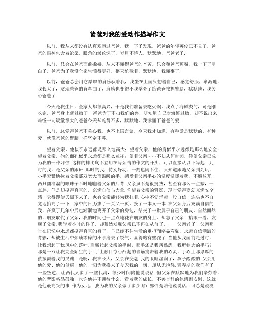 爸爸对我的爱动作描写作文