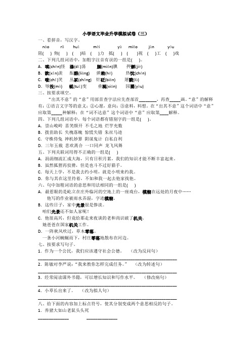 2020年人教版小升初语文毕业升学模拟试卷(三)附答案