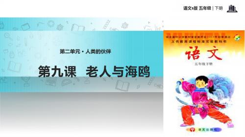 五年级下册语文课件-9老人与海鸥∣语文S版