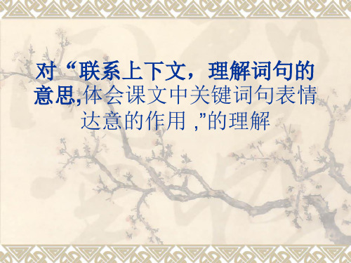对联系上下文理解词句意思的解读