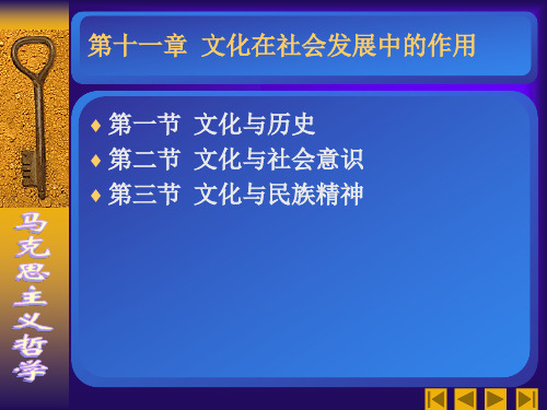 第十一章  文化在社会发展中的作用