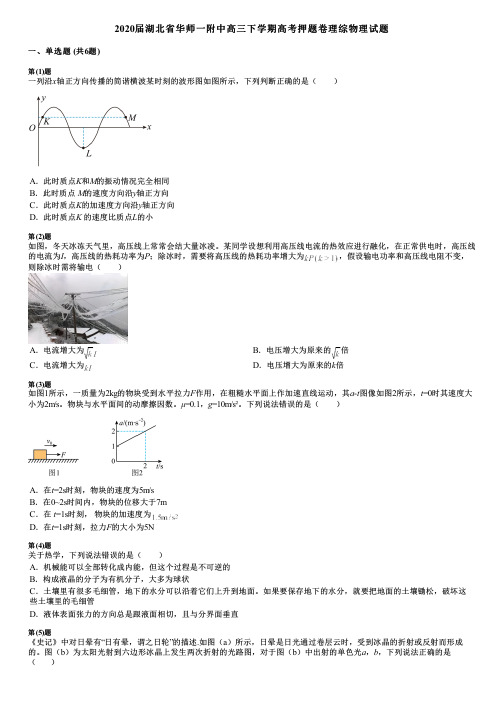 2020届湖北省华师一附中高三下学期高考押题卷理综物理试题