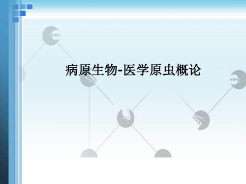 病原生物-医学原虫概论