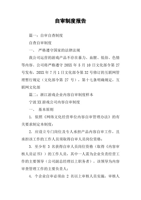 自审制度报告