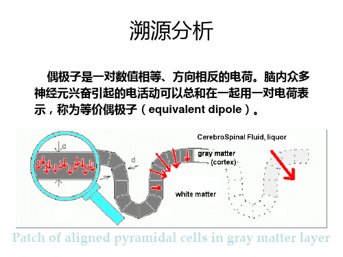 ERP-07源分析和成分分析(包含ICA分析的步骤)