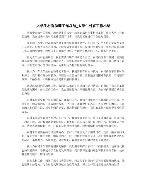 大学生村官助理工作总结_大学生村官工作小结